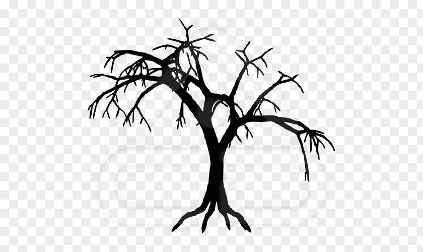 Mangrove Tree Vector Ash Williams Film Poster Art PNG