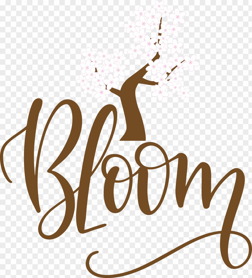 Bloom Spring PNG