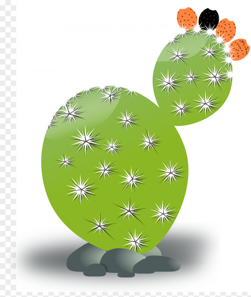 Cactus Cactaceae Clip Art PNG