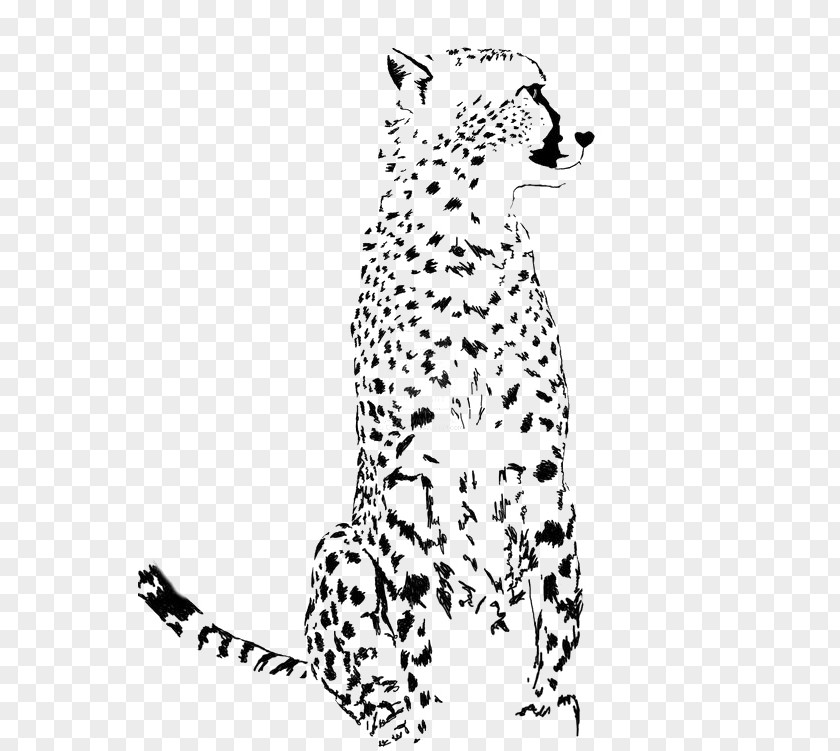 Hand-painted Leopard Dalmatian Dog Cheetah Jaguar Cat PNG