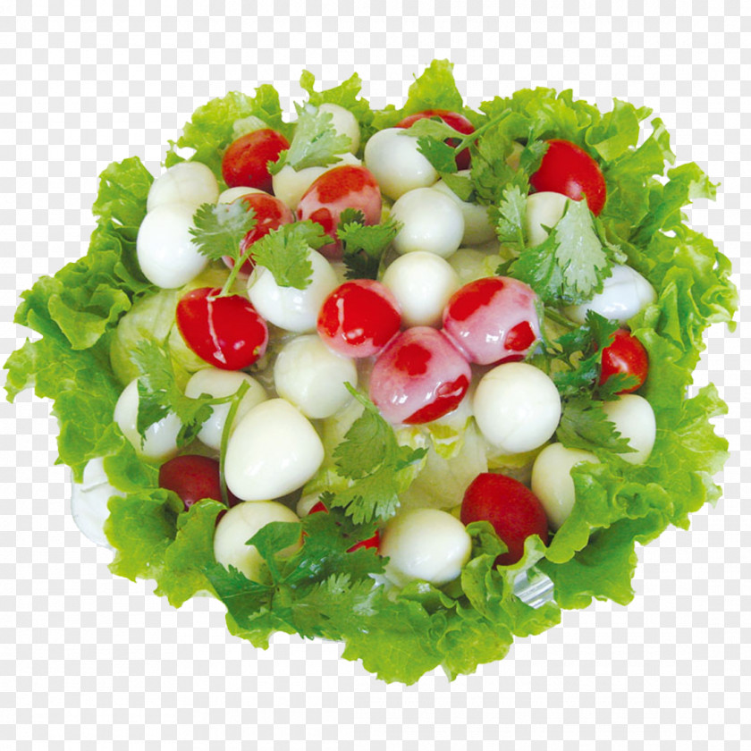 Salad Fruit Rojak Vegetable Food PNG