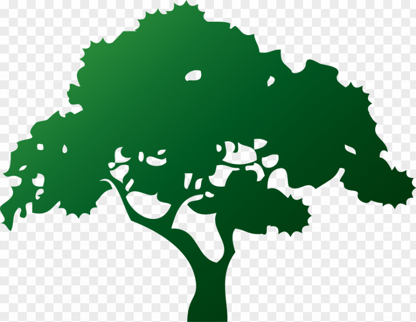 Tree Logo Aurelio's Lawn & Service Bonsai Arborist PNG