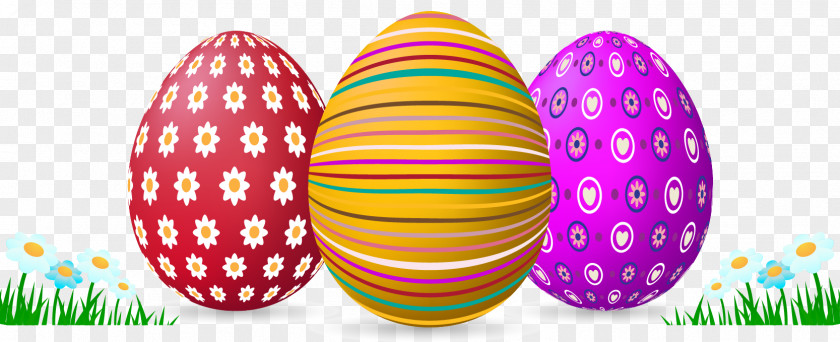 Vector Grass And Eggs Easter Bunny Egg PNG