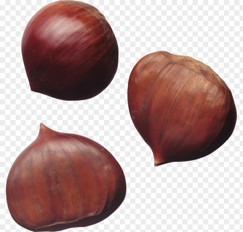 Vegetables Onion Nuts Hazelnut Chestnut PNG