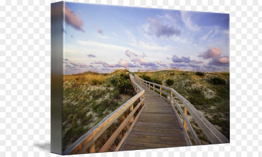 Wood Gallery Wrap Boardwalk Ocracoke Photography PNG