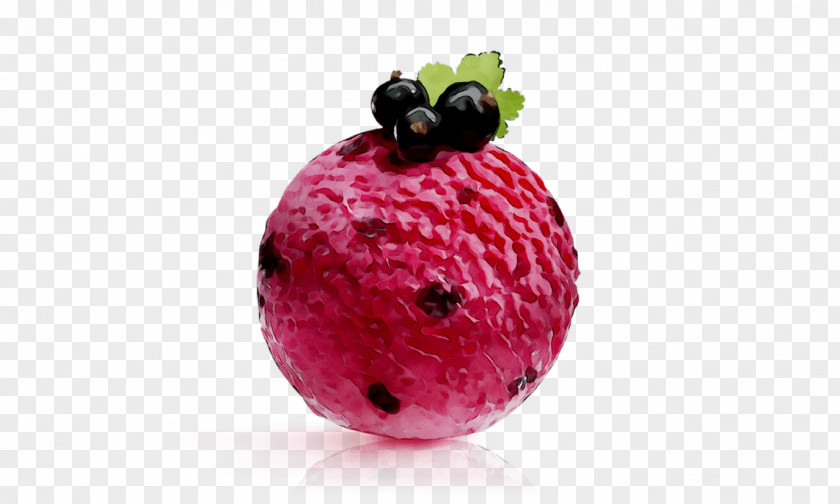 Berries Fruit Superfood PNG