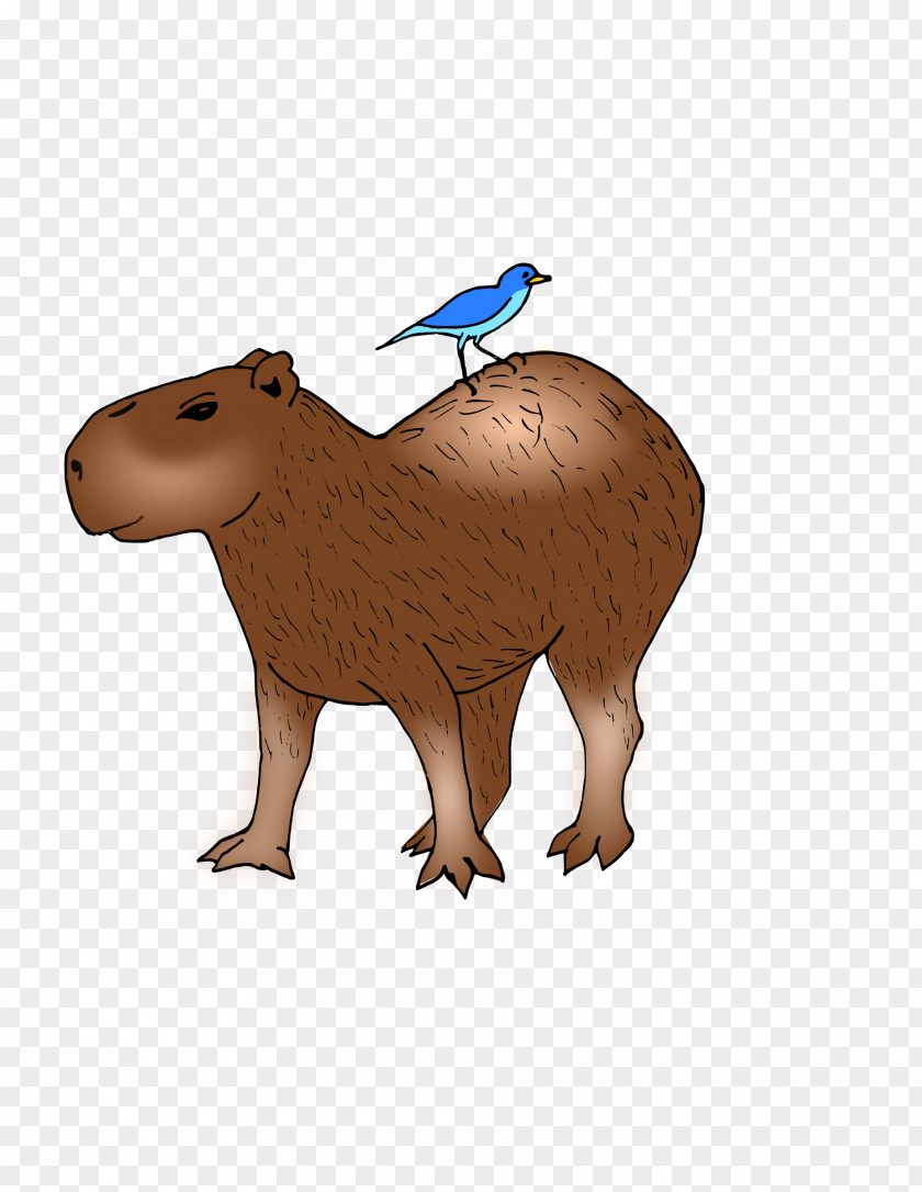 Capybara Hamster Rodent Guinea Pig Clip Art PNG