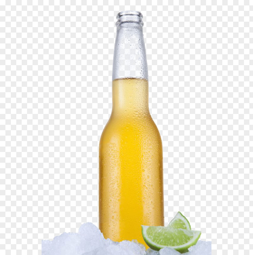 Cold Beer Bottle Stock Photography Royalty-free PNG