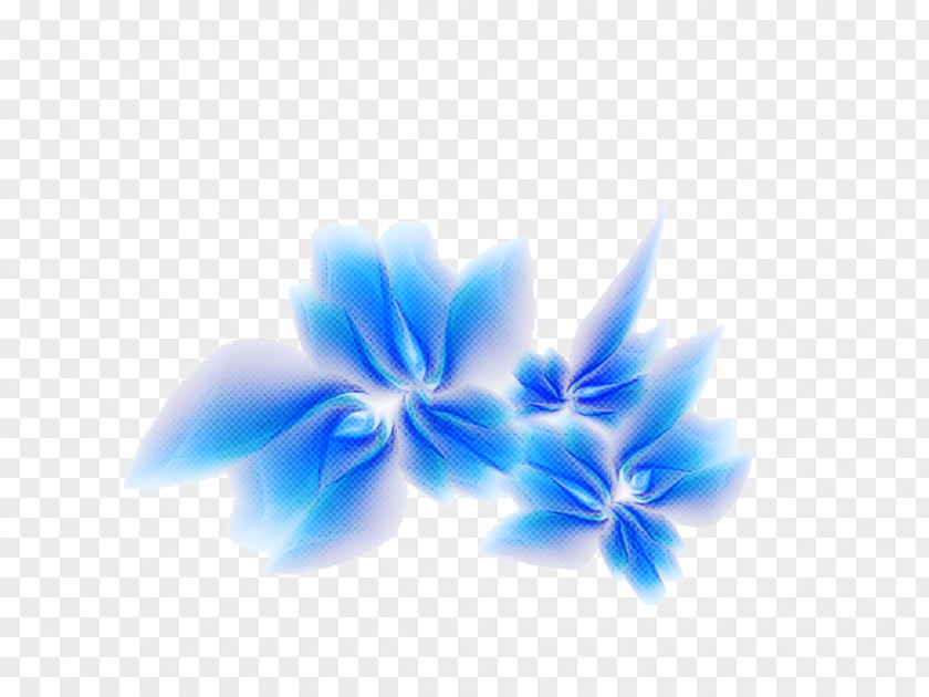Electric Blue Flower Cobalt Petal Plant PNG