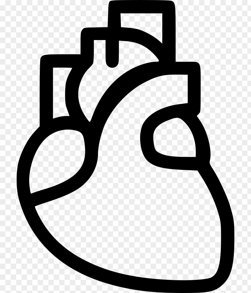 Heart Cardiology Medicine Clip Art PNG