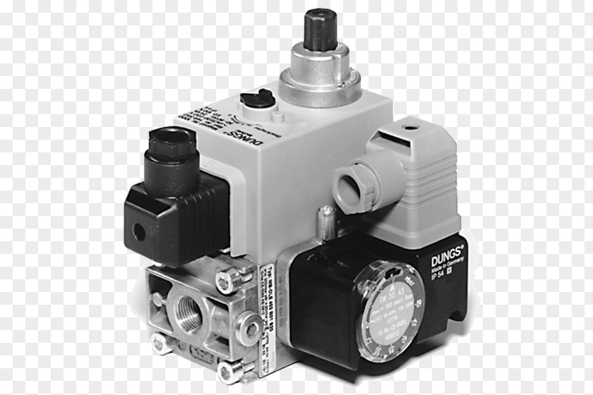 Safe Operation Natural Gas Dungs Solenoid Valve PNG