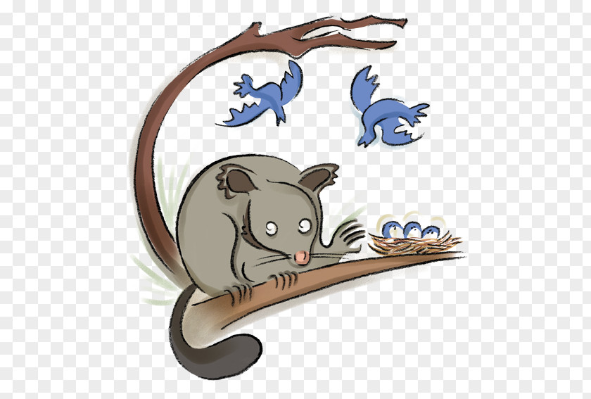 Cat Wombat Common Brushtail Possum Koala Clip Art PNG