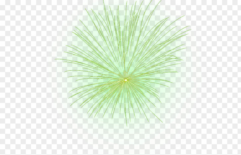 Fireworks Green Pattern PNG
