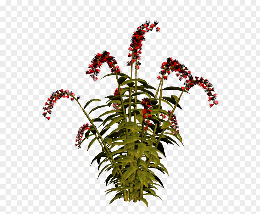 Flower Flowerpot Plant Stem Flowering Tree PNG