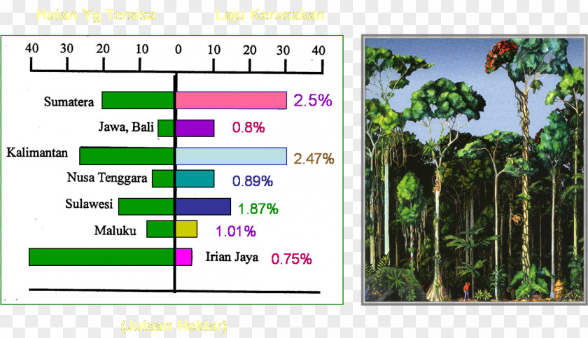 Natural Environment Life Nature Flora Resource PNG