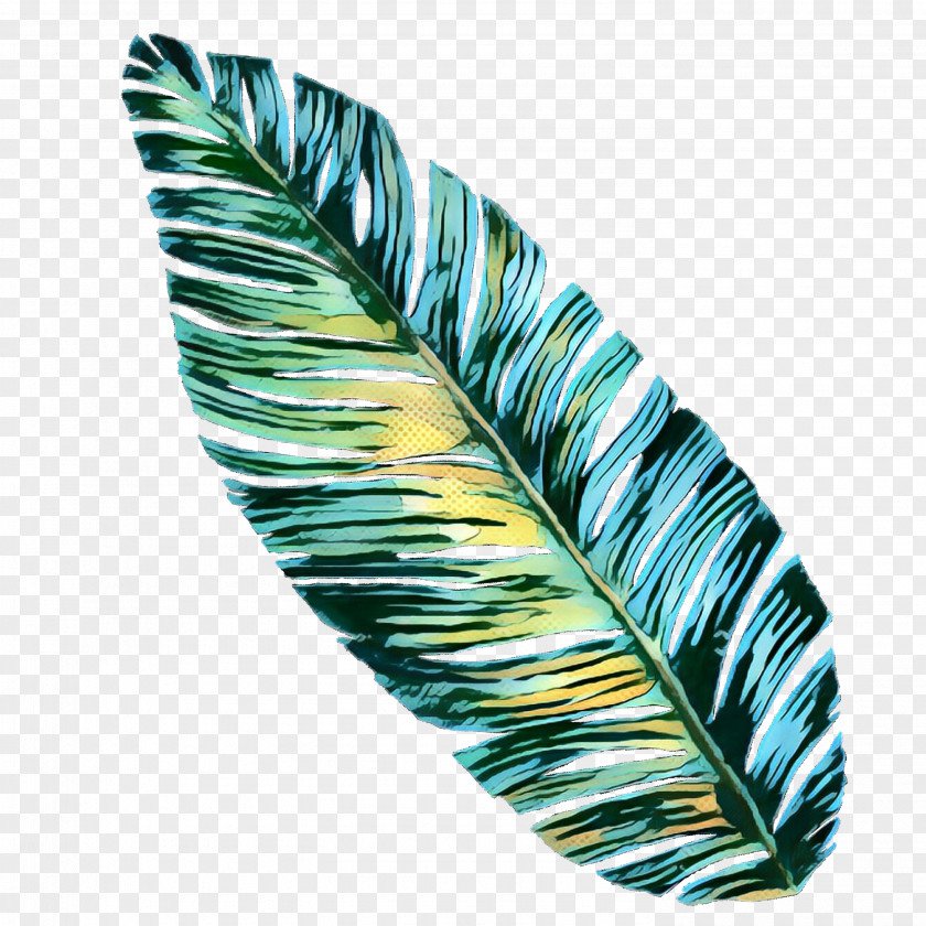 Plant Quill Feather PNG