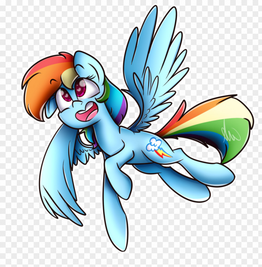 Rainbow Dash Macaw Drawing PNG