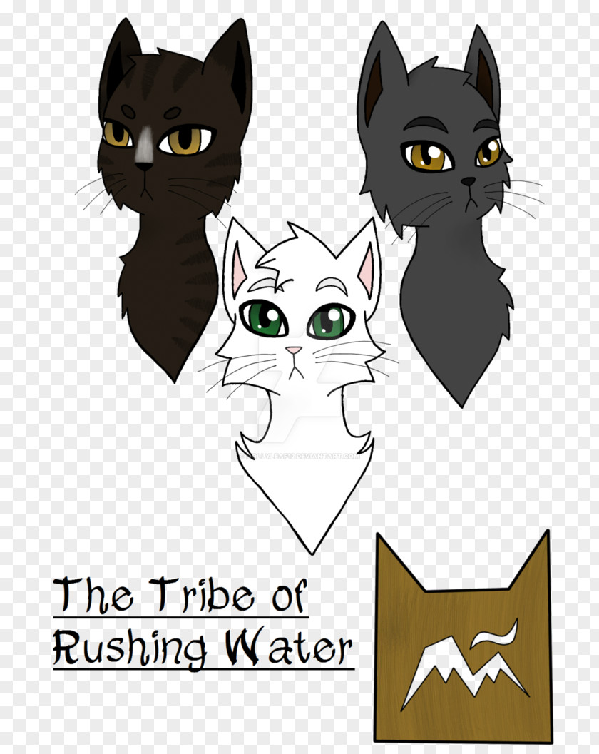 Rushing Water Kitten Whiskers Domestic Short-haired Cat Norwegian Forest Black PNG