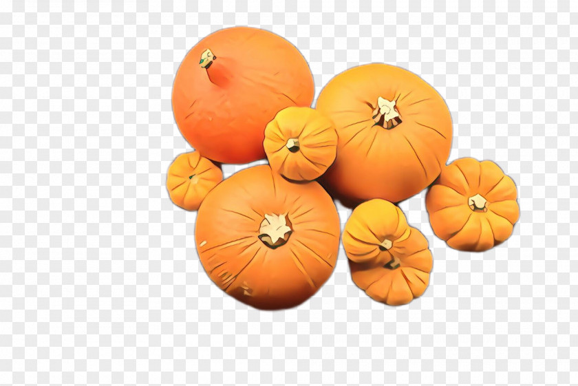 Squash Plant Pumpkin PNG