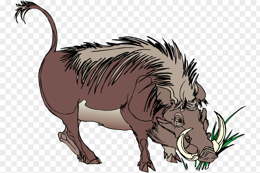 Warthog Cliparts Common Clip Art PNG
