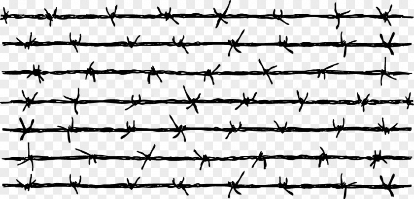 Wire Fences Barbed Fence Download PNG