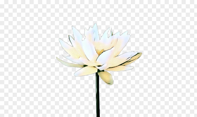 Beige Magnolia White Lily Flower PNG