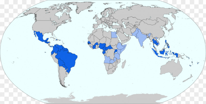Centers For Disease Control And Prevention 2015–16 Zika Virus Epidemic Fever Metric System PNG