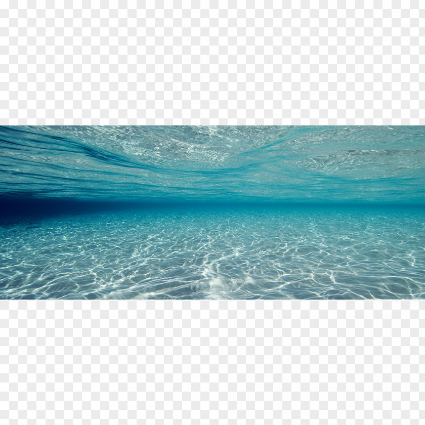 Drift Away Indian Ocean Shore Underwater Seascape PNG