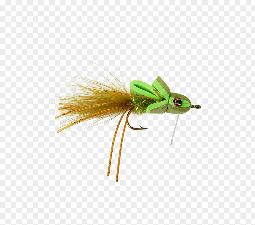 Fly Tying Artificial Insect Holly Flies Striped Bass PNG
