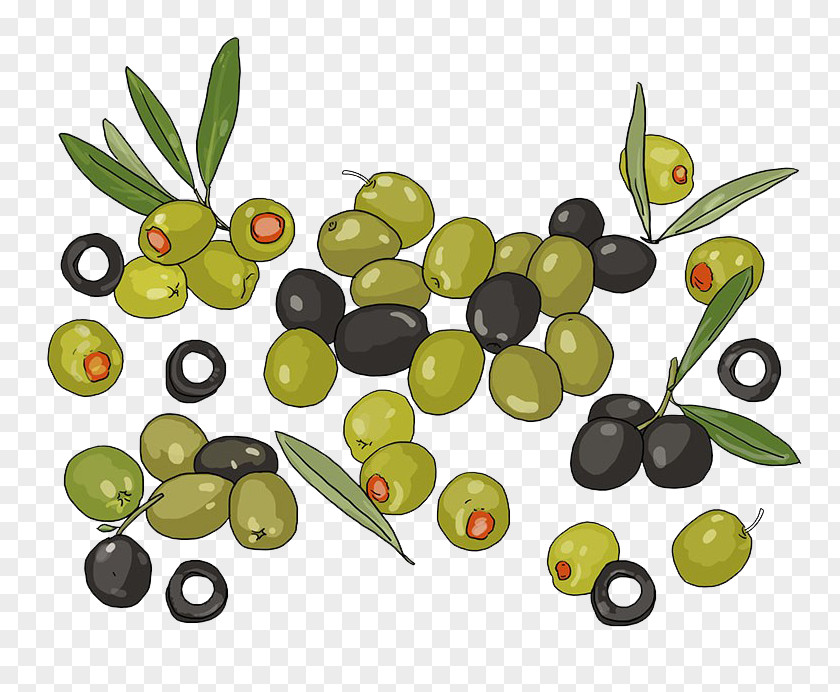 Multiple Olives Olive Vecteur Google Images PNG