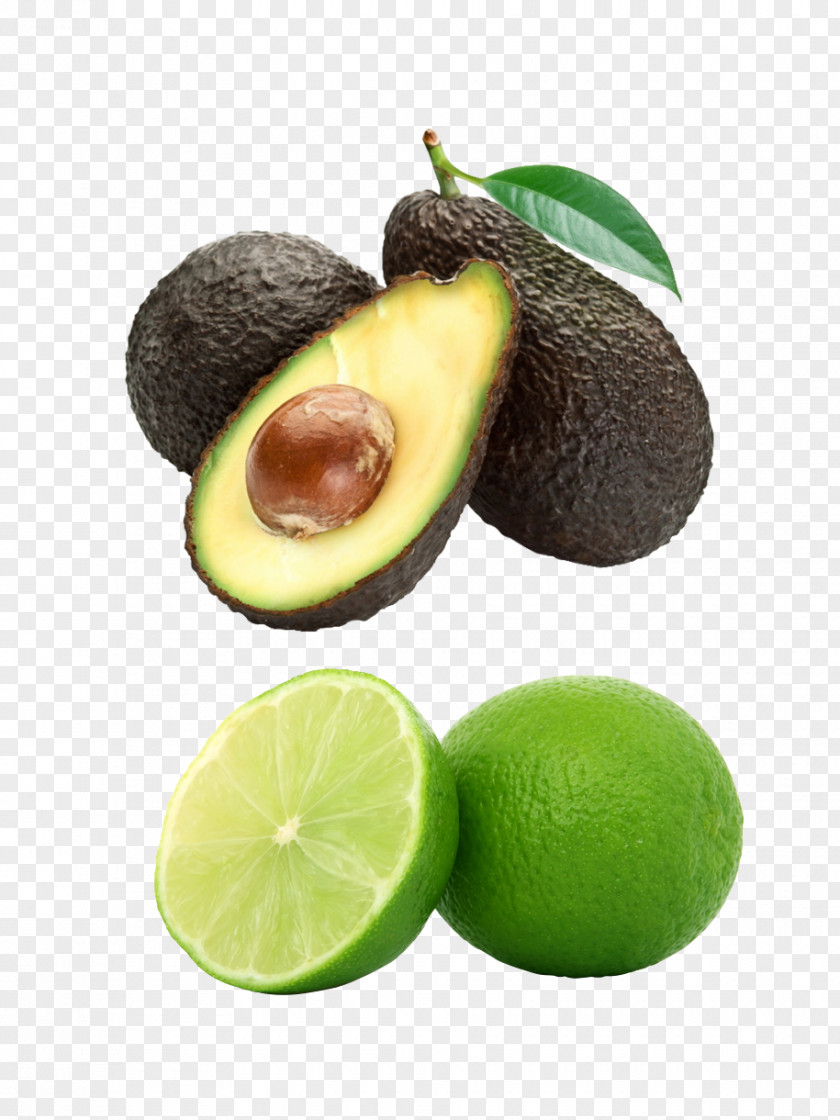 Avocado Fruit Hass Nutrient Mineral Vitamin PNG