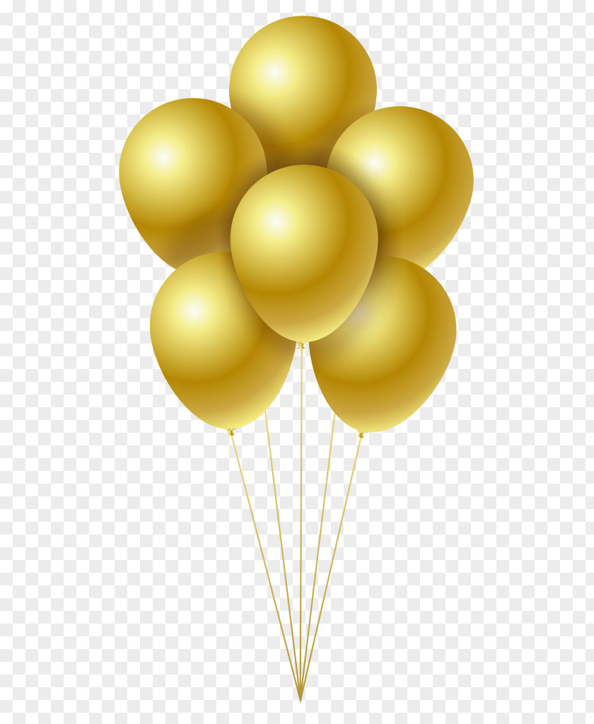 Balloon Party Birthday PNG