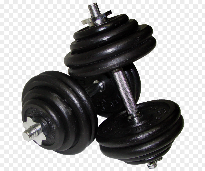 Dumbbell Exercise Equipment Barbell Weight Training PNG