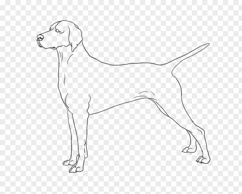 Puppy Harrier Dog Breed Sporting Group Retriever PNG