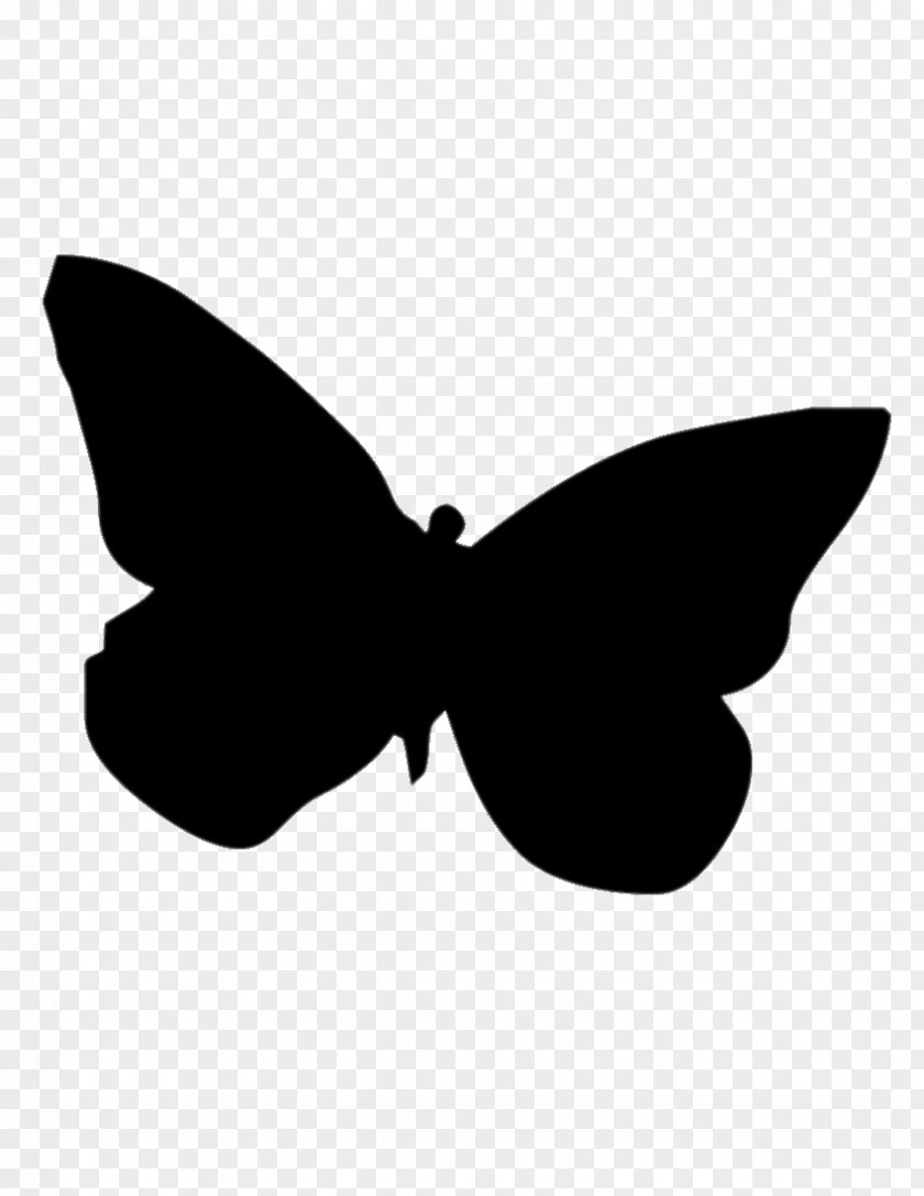 Symmetry Bow Tie Butterfly Silhouette PNG