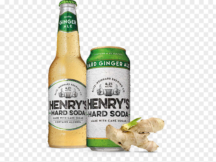 Beer Ginger Fizzy Drinks Ale Orange Soft Drink PNG