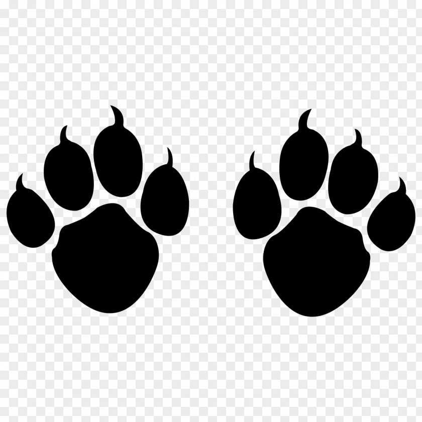 Cat Paw Claw Dog PNG