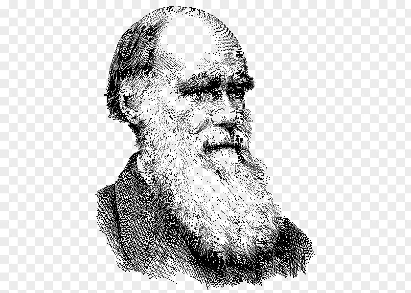 Charles Darwin On The Origin Of Species Evolution Naturalist T-shirt PNG