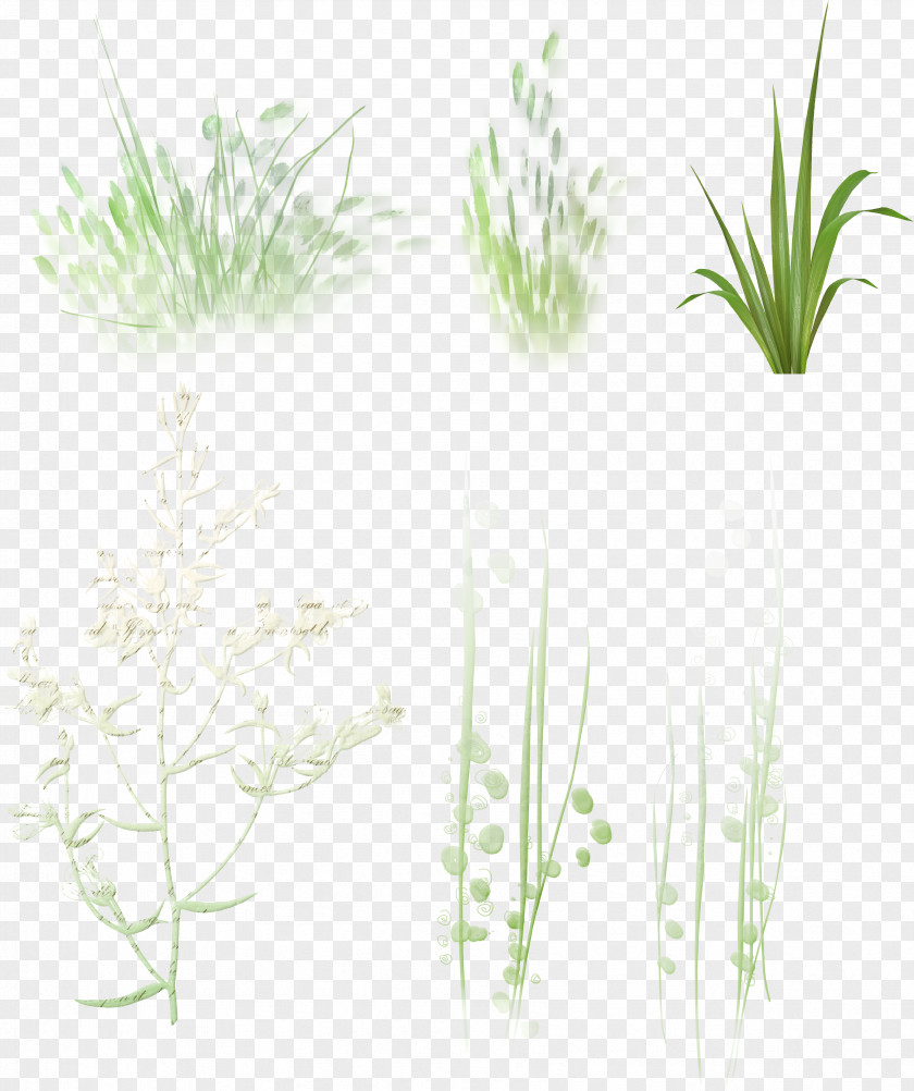 Megabyte Clip Art Plant Stem Herb PNG