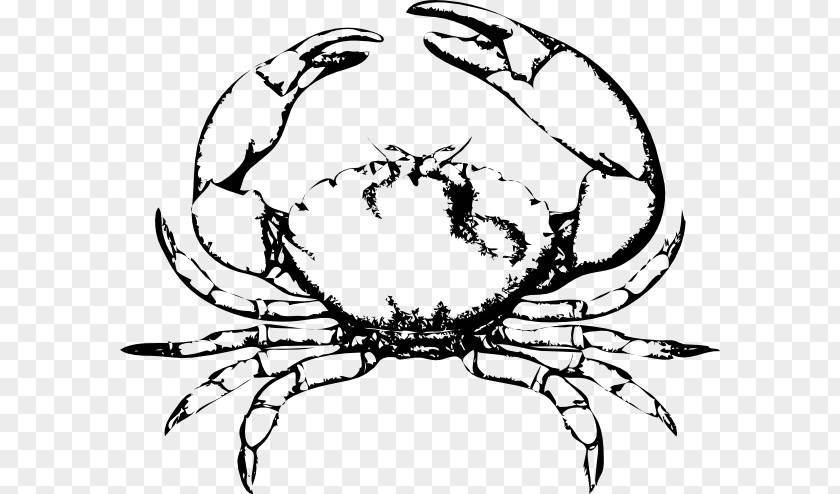 Seafood Pictures Chesapeake Blue Crab Red King Free Content Clip Art PNG