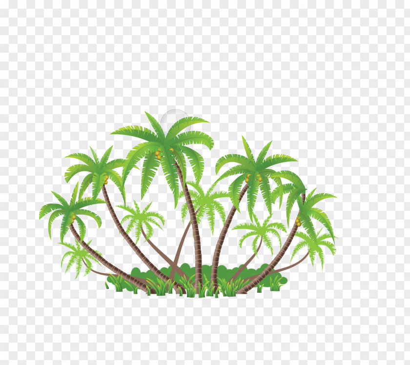 Vector Green Coconut Collection Arecaceae Euclidean Illustration PNG