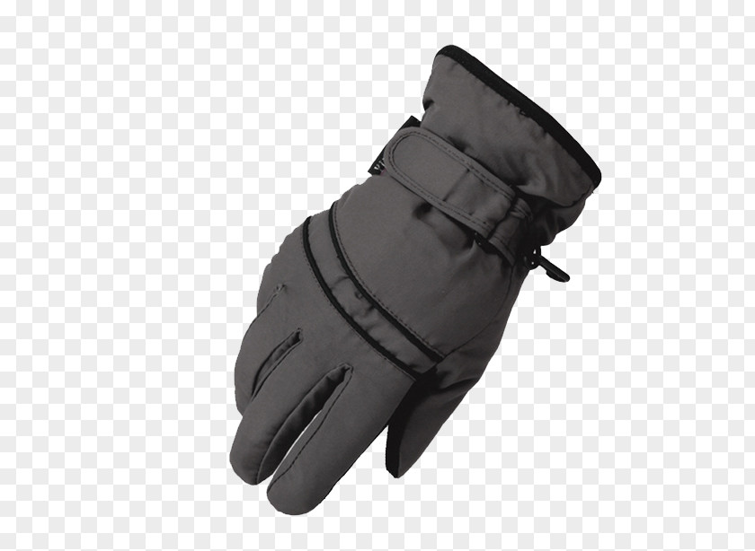 Winter Gloves Glove Ecotourism PNG