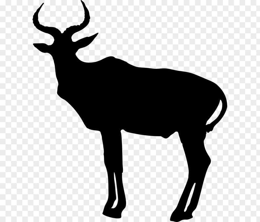 Animal Silhouettes Antelope Pronghorn Clip Art PNG