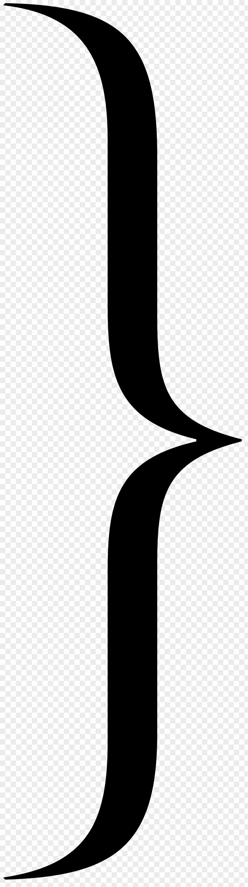 Bracket Symbol Mimicry In Butterflies Parenthesis PNG