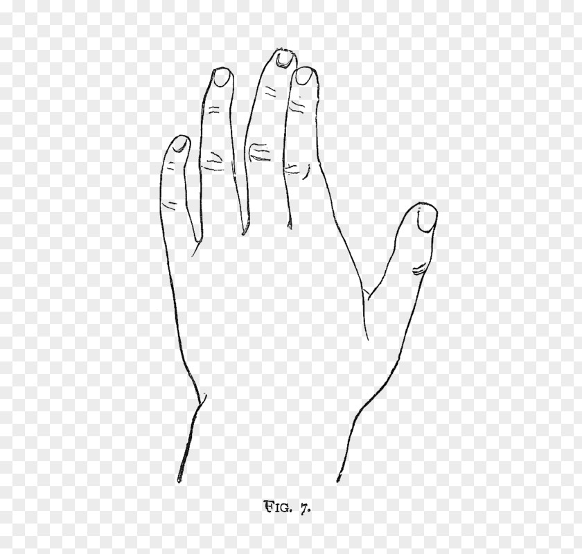 Hand Thumb Clip Art Black And White PNG