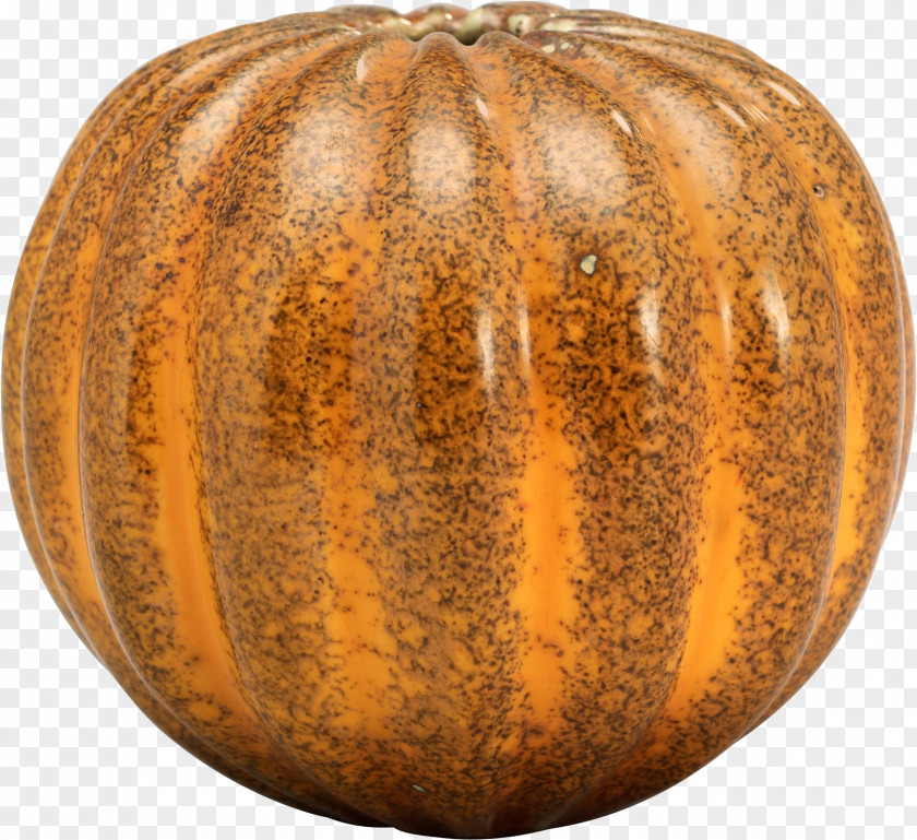 Pumpkin Image Pie Crookneck Field Cucurbita Maxima PNG