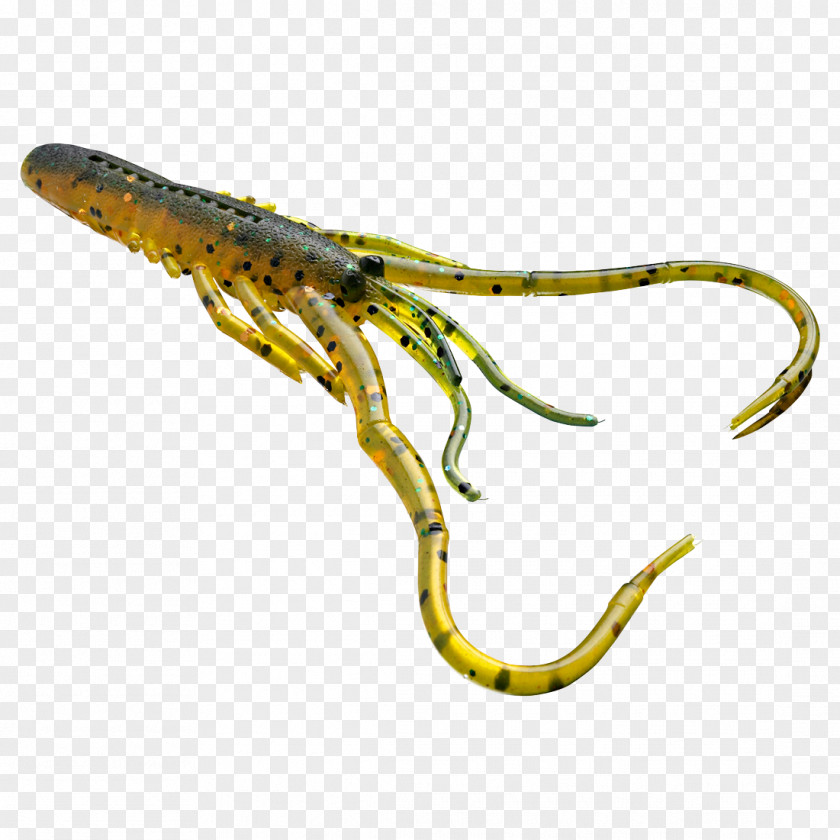 Shrimp Daiwa Italy S.r.l. Fishing Baits & Lures Plug PNG