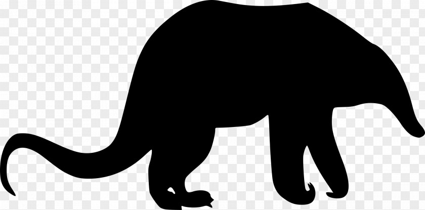 Anteater Giant Cat Animal Clip Art PNG