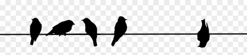 Bird On A Wire Black Line Silhouette Angle White PNG