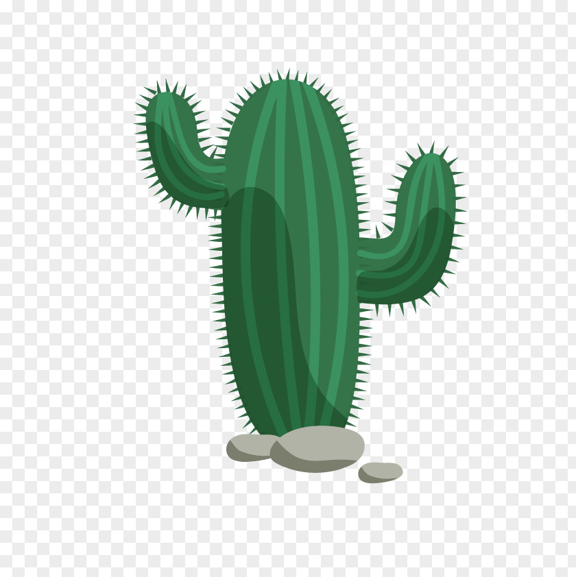 Desert Cactus Flat Vector Cactaceae Design PNG